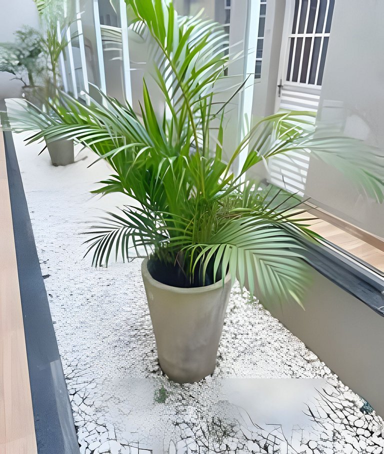 Lindo apartamento na Zona Norte